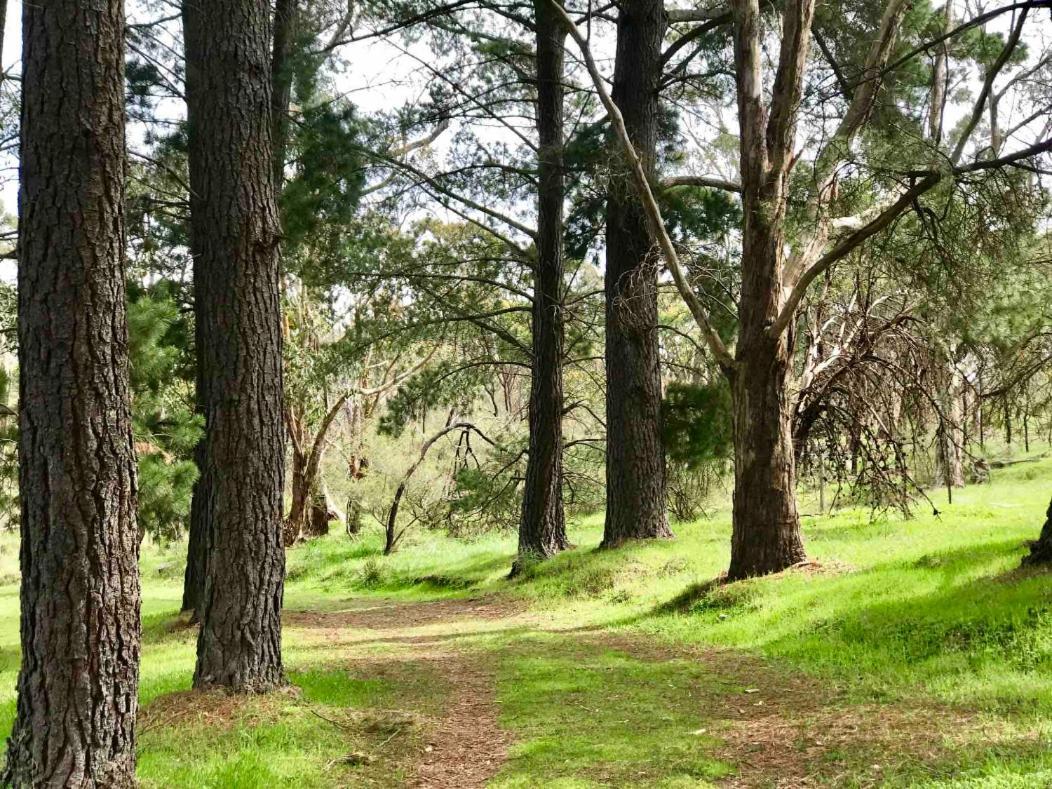 Woodside Adelaide Hills Escape酒店 外观 照片