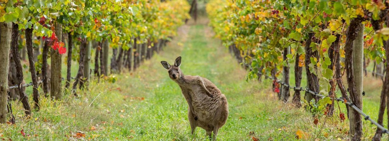Woodside Adelaide Hills Escape酒店 外观 照片
